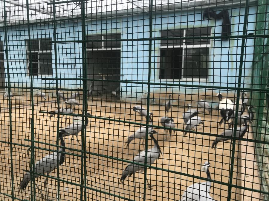 天鵝湖風景區(qū)（泰山）速覽！(圖5)