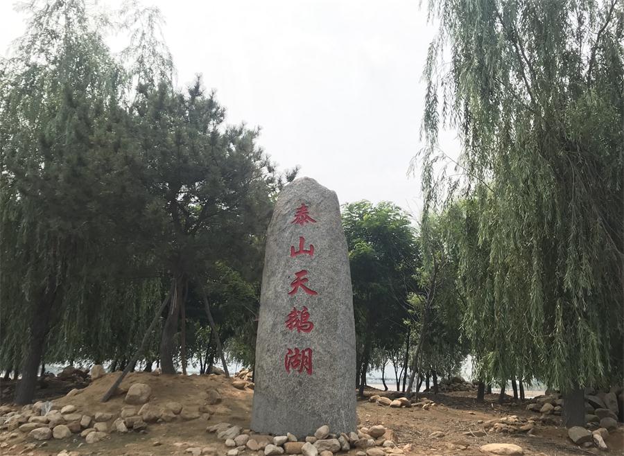 天鵝湖風景區(qū)（泰山）速覽！(圖12)